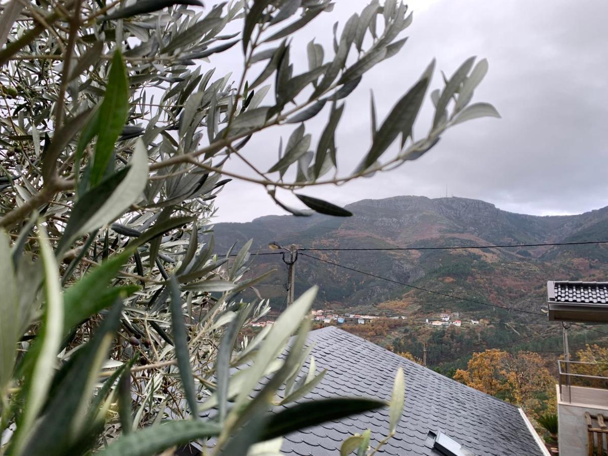 维拉·雷阿尔Casa Do Julien Mountain Experience别墅 外观 照片